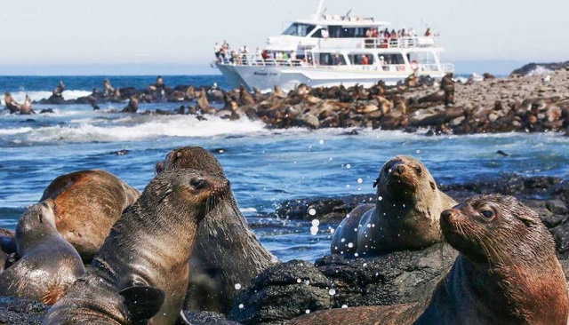 Wildlife Coast Cruises (Phillip Island)