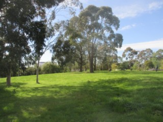 Wilkinson Reserve Dog Off Leash Area (Park Orchards)
