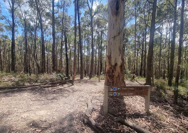 Woodend - Wombat State Forest Mountain Bike Trails