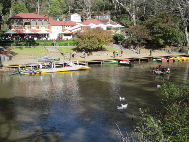 Yarra Bend Park (Kew)