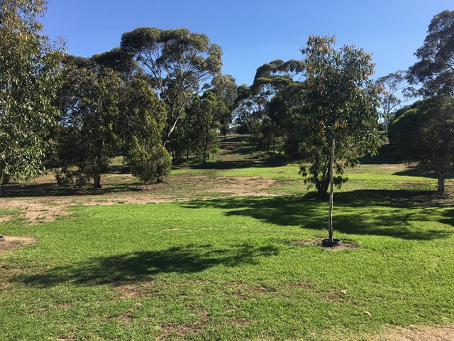 Aberfeldie Park Dog Off Leash Area (Aberfeldie)