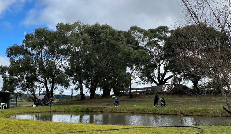 Addington - Learmonth Trout and Fauna Park