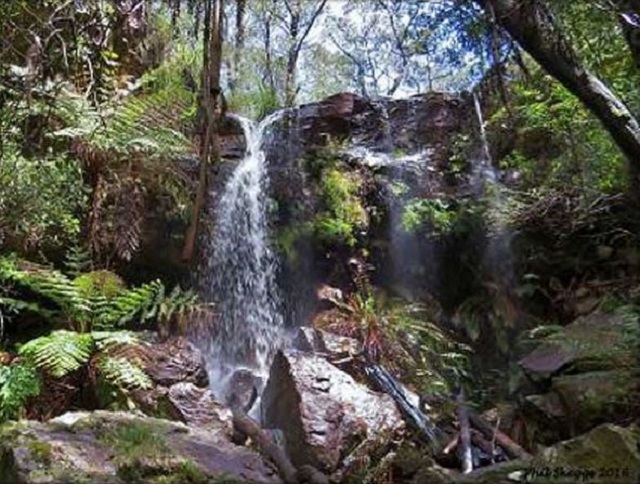 Aireys Inlet - Currawong Falls