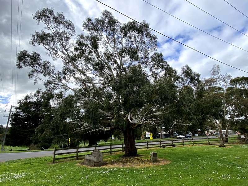 Noorat - Alan Marshall Discovery Trail