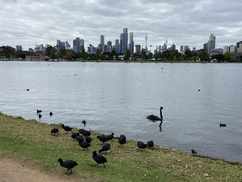 Albert Park & Albert Park Lake