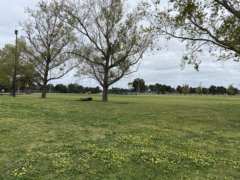 Albert Park Reserve Dog Off Leash Area - Aughtie Drive (Albert Park)