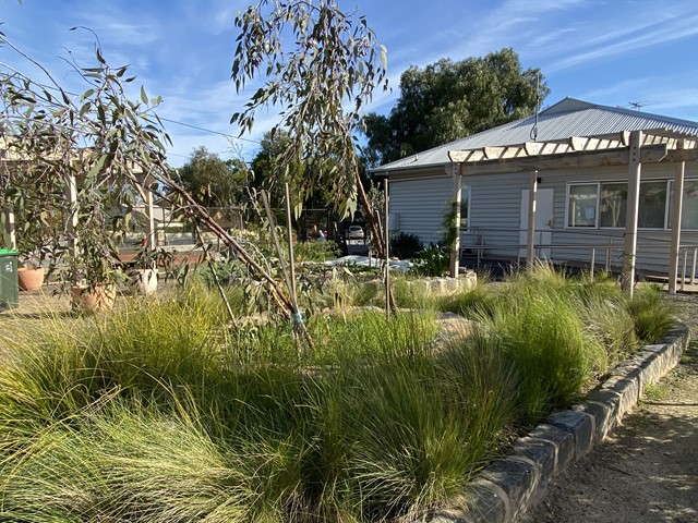 Albion Community Garden (Albion)