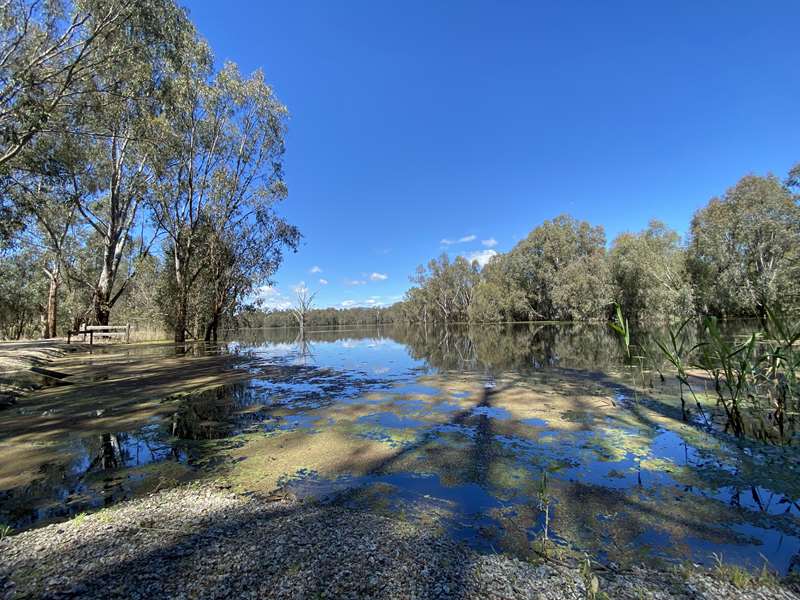 Albury - Wonga Wetlands