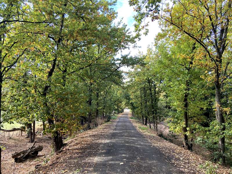 Alexandra - Binns McCreas Walk