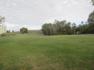 All Nations Park Dog Off Leash Area (Northcote)