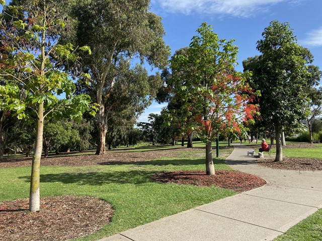 Allnutt Park Dog Off Leash Area (McKinnon)