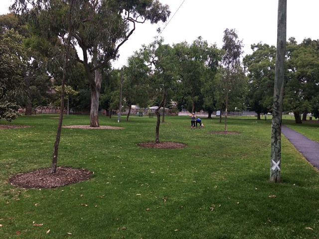 Alma Park East Dog Off Leash Area (St Kilda East)