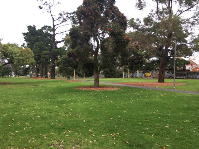 Alma Park West Dog Off Leash Area (St Kilda East)