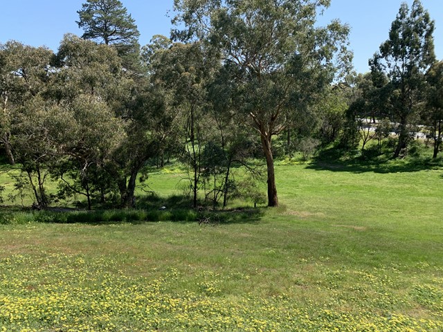 Aloha Reserve Dog Off Leash Area (Templestowe)