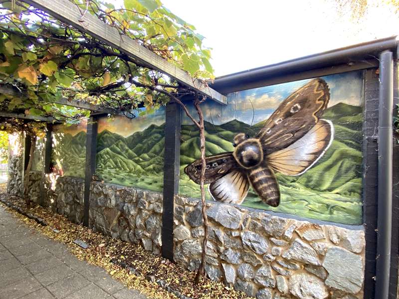 Alpine Shire Street and Public Art