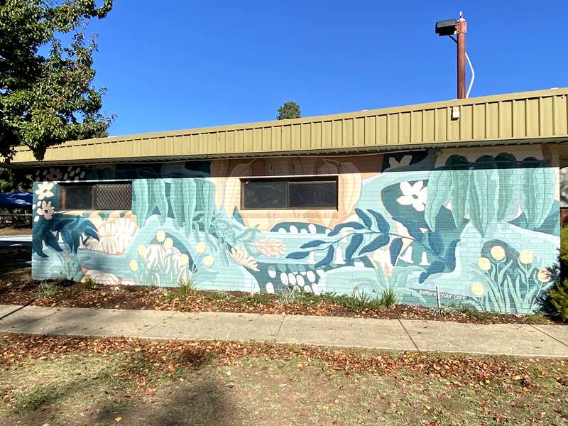 Alpine Shire Street and Public Art