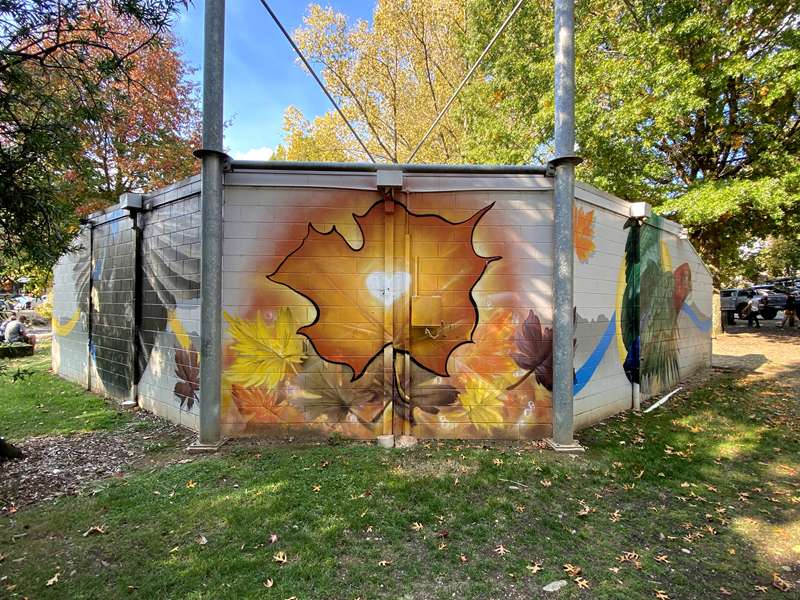 Alpine Shire Street and Public Art
