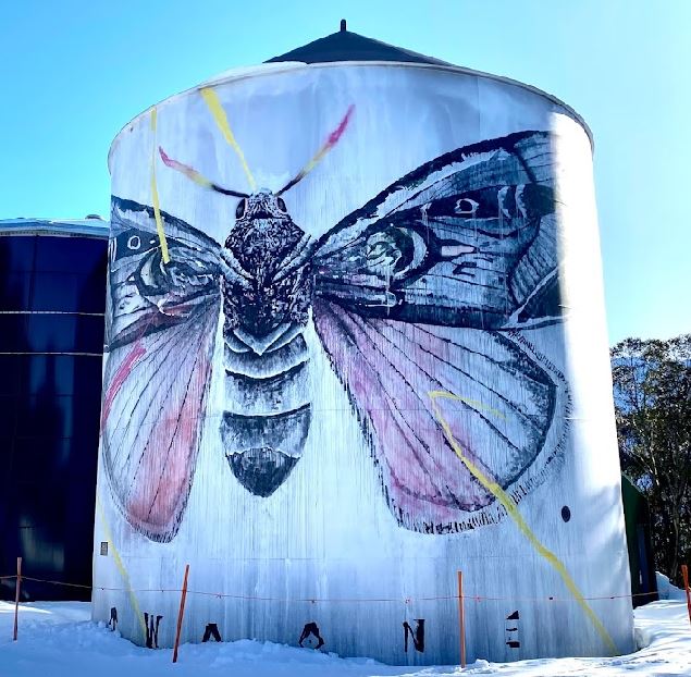 Alpine Shire Street and Public Art