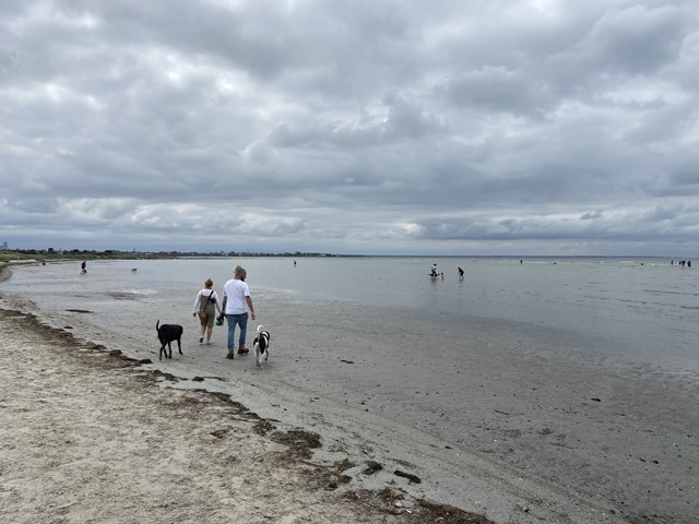 Altona Dog Beach and Cherry Lake Walk (Altona)