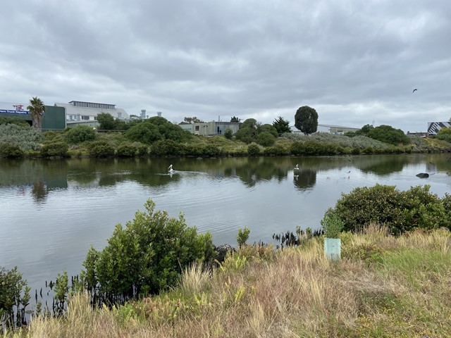 Altona Dog Beach and Cherry Lake Walk (Altona)