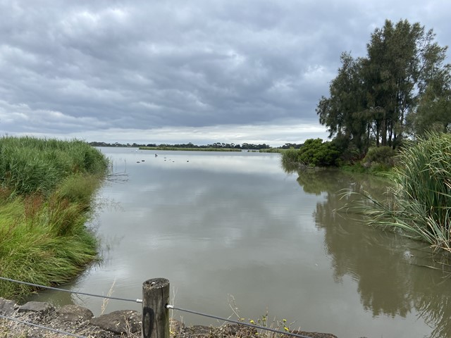 Altona Dog Beach and Cherry Lake Walk (Altona)