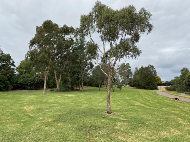 Amaroo Drive Reserve Dog Off Leash Area (Chelsea Heights)