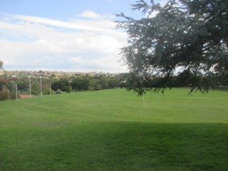 Anderson Park Dog Off Leash Area (Hawthorn East)