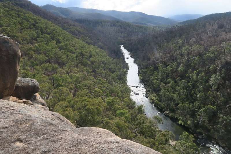 Anglers Rest Walking Track