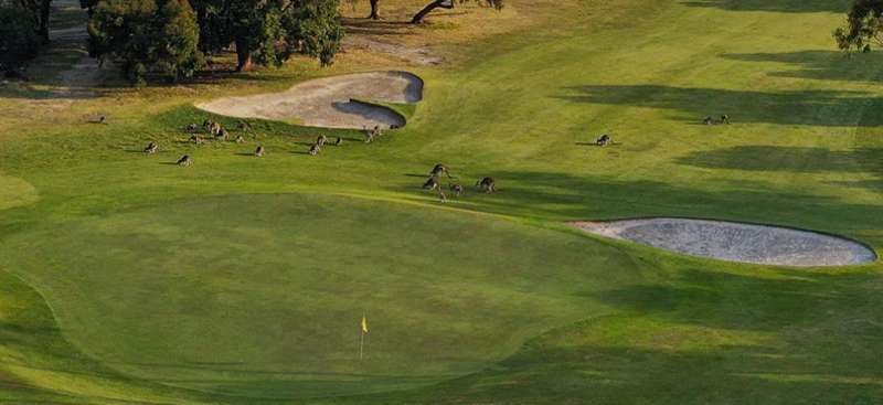 Anglesea Golf Club
