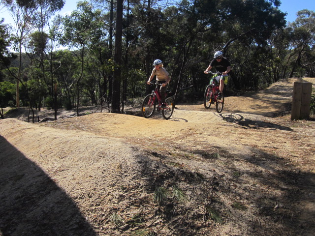 Anglesea Mountain Bike Park (Anglesea)