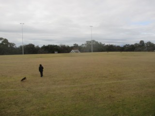 Anthony Beale Reserve Dog Off Leash Area (St Helena)