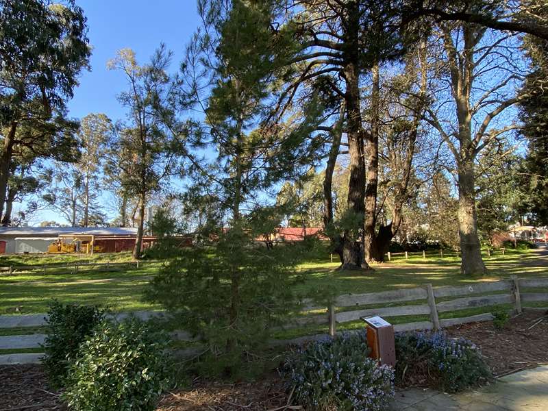 ANZAC Walk (Emerald)