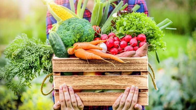 Apollo Bay Farmers Market