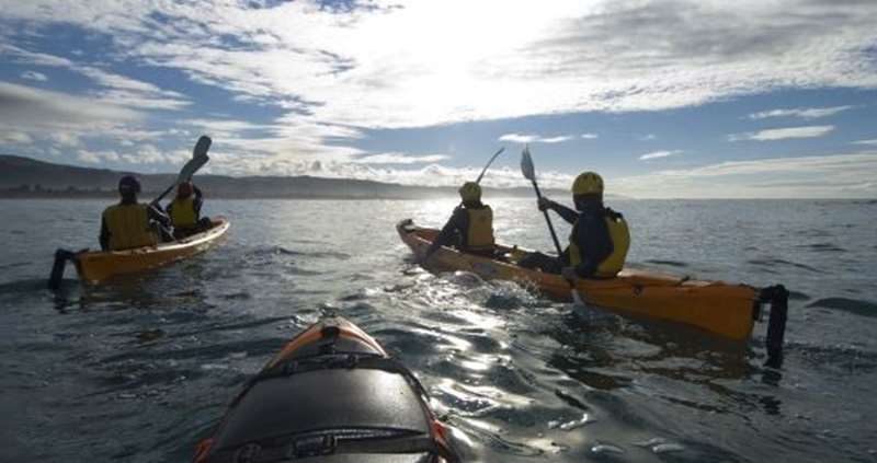 Apollo Bay Surf & Kayak