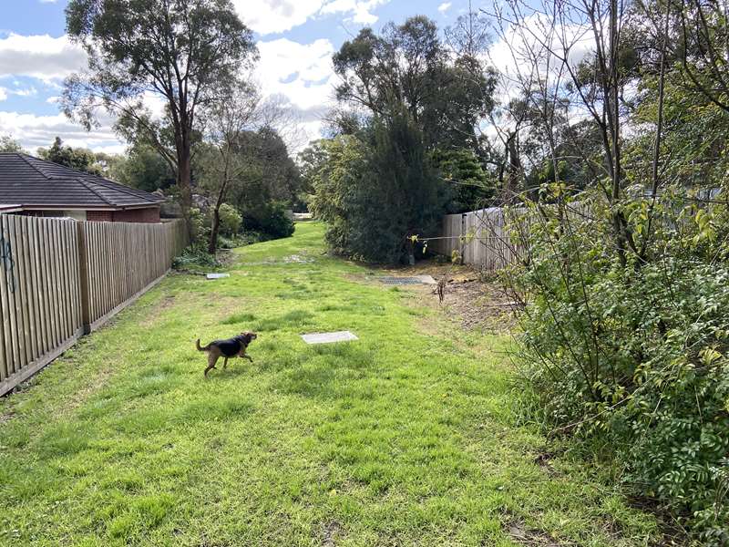 Arcadia Avenue Linear Park Dog Off Leash Area (The Basin)