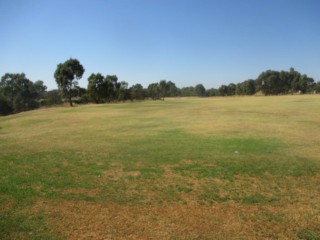 Arch Gibson Reserve Dog Off Leash Area (Kingsbury)