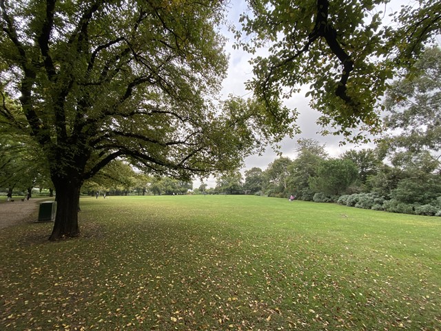 Ardrie Park Dog Off Leash Area (Malvern East)