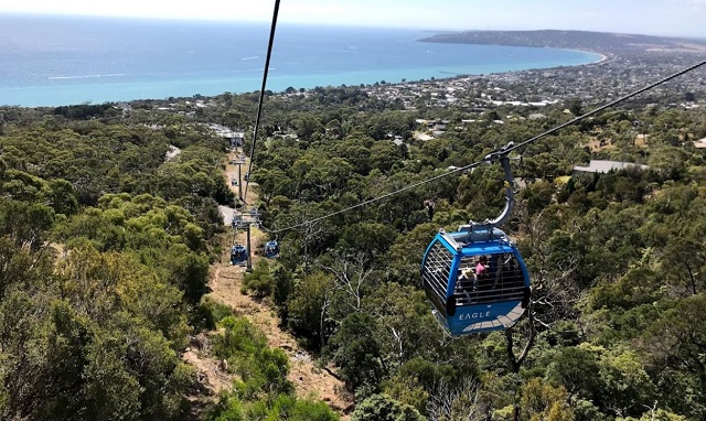 Arthurs Seat Eagle (Dromana)