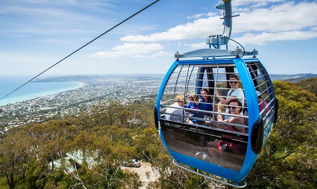 Arthurs Seat Eagle (Dromana)