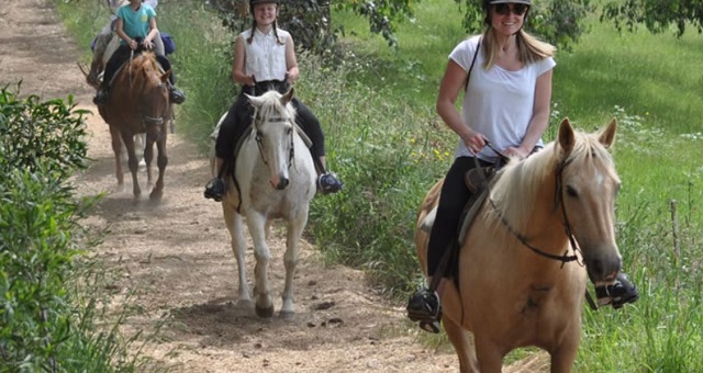 Arthurs Seat Equestrian Centre