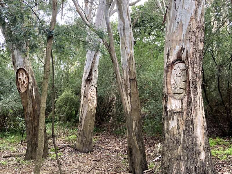 Arts, Artists and Ancient Trees Walk (Bulleen)
