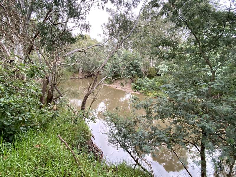 Arts, Artists and Ancient Trees Walk (Bulleen)