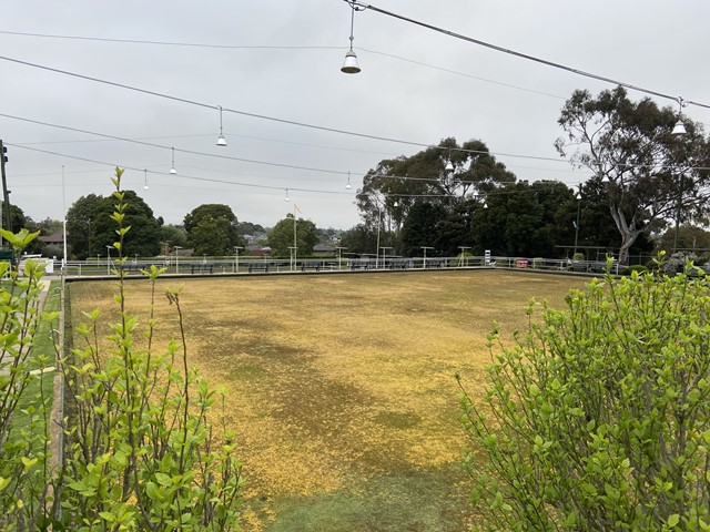 Ashburton Bowls Club