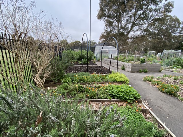 Ashburton Community Garden