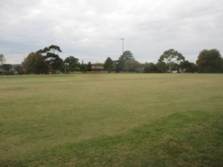 Ashburton Park Dog Off Leash Area (Ashburton)