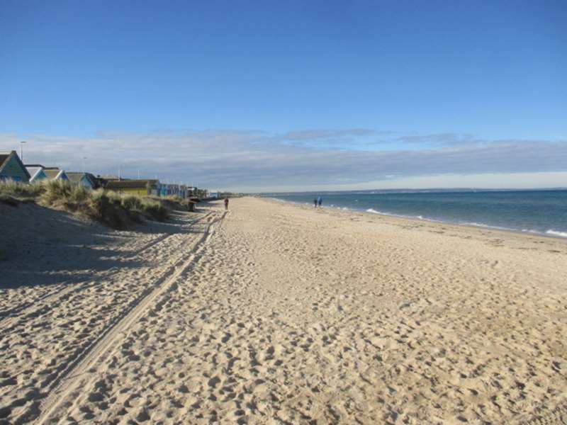 Aspendale Beach Dog Off Leash Area (Aspendale)