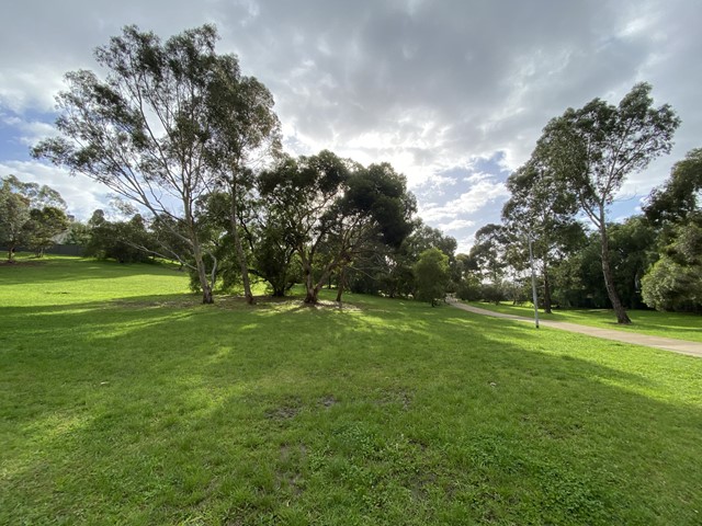 Austin Crescent Reserve Dog Off Leash Area (Pascoe Vale)