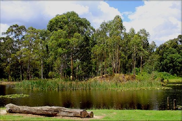 Australian Rainbow Trout Farm, Macclesfield