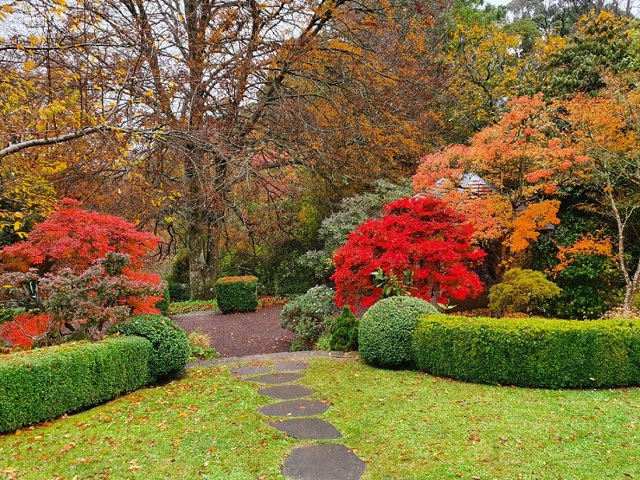 Best Places to See Autumn Leaves in Melbourne