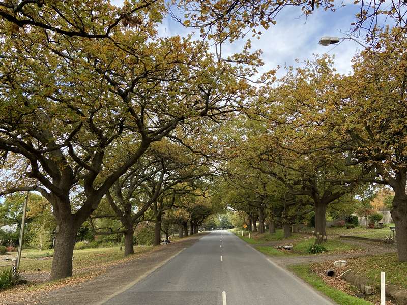 The Avenues of Honour (City of Casey)